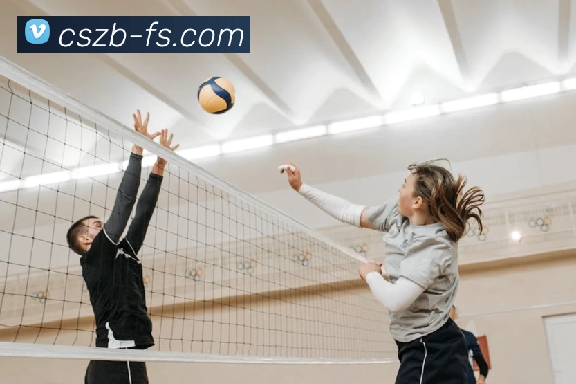 彩神争霸平台生态图